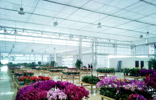 Lanzhou New District Smart Greenhouse Park