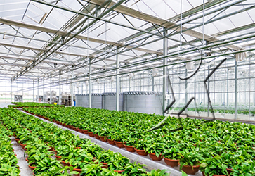 Smart Glass Greenhouse Project of Lanzhou Modern Agriculture Demonstration Park
