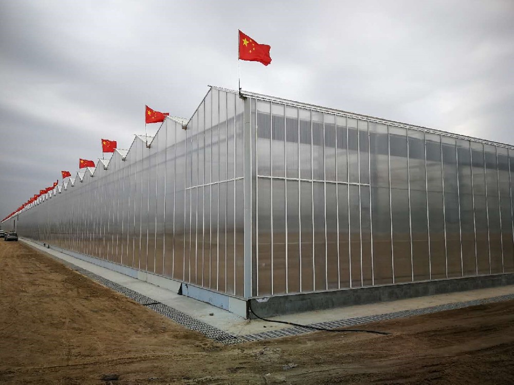 Lanzhou Glass Greenhouse Project