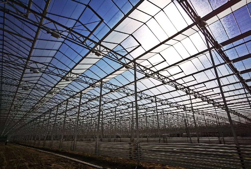 Evergrande Wuhan Glass Greenhouse Project