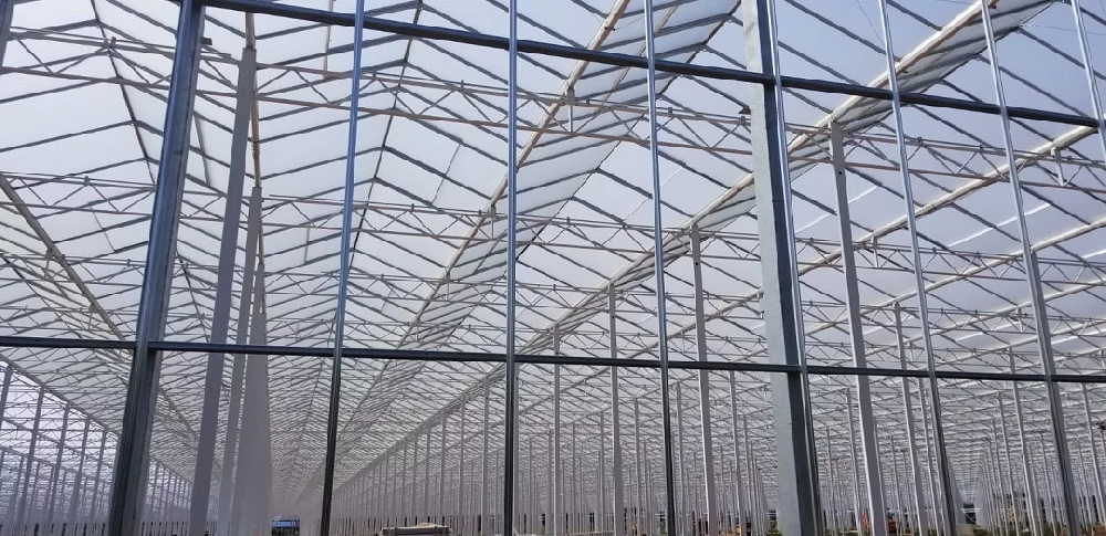 Intergrow Glass Greenhouse Project
