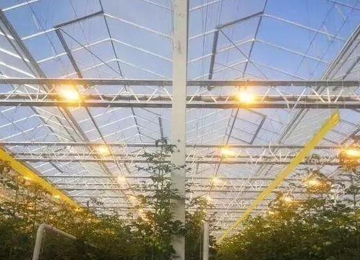 build advanced Dutch glass greenhouses