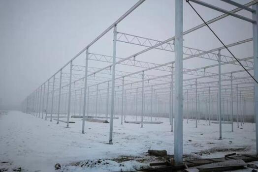 The cost and characteristics of agricultural glass greenhouse