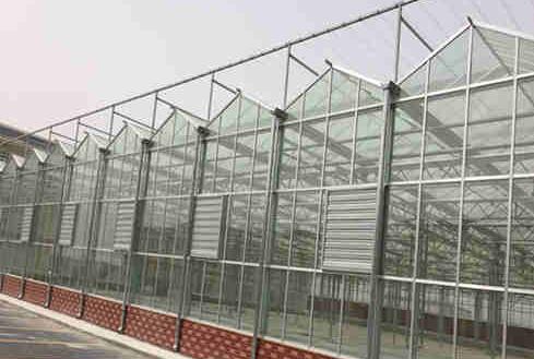 Common cooling methods for Venlo glass greenhouses