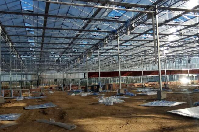 Common cooling methods for Venlo glass greenhouses