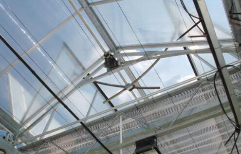 Patterned glass greenhouse with natural ventilation and top opening style