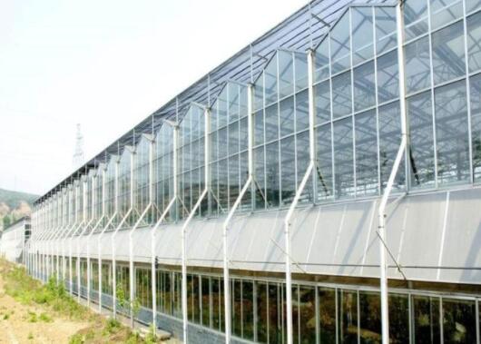 design and construction of the Dutch venlo glass greenhouse
