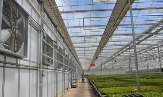 Why should agricultural glass greenhouses be ventilated