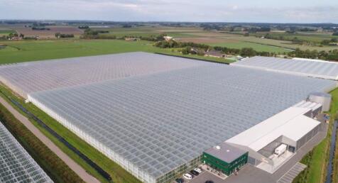 The construction of agricultural glass greenhouses should be adapted to local conditions
