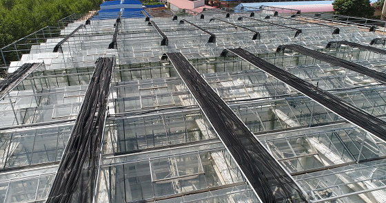 What are the common electrical equipment in smart glass greenhouses?