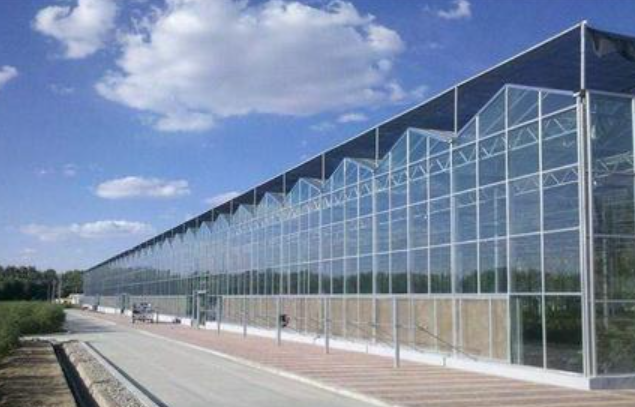 The construction of venlo glass greenhouse should pay attention to these points