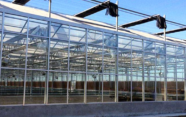 Complete design and construction plan of venlo smart glass greenhouse