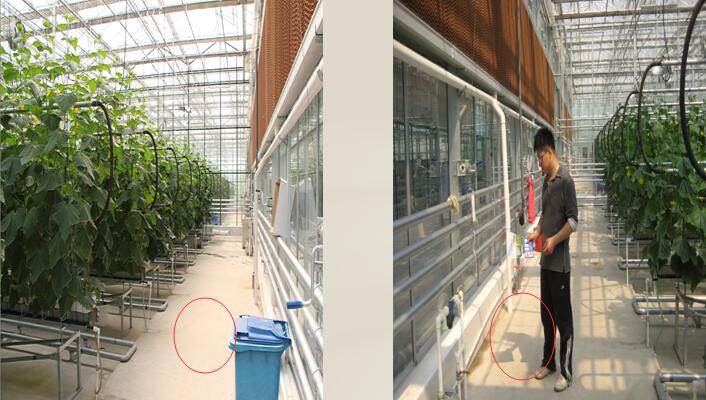 The effect of diffuse glass on the light distribution of crops in the greenhouse
