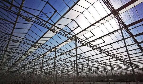 How to choose anti-reflective glass and ordinary glass for glass greenhouse
