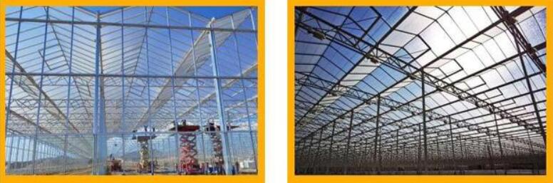 Greenhouse diffuse reflective glass is becoming more and more popular