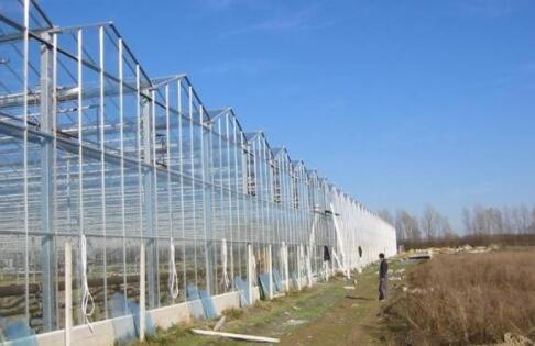 Agricultural Greenhouse