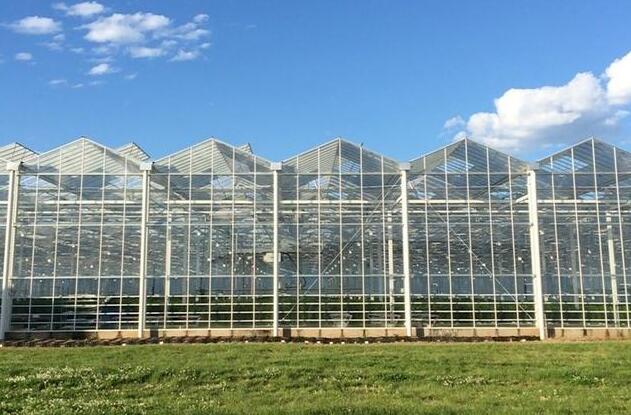glss greenhouse project