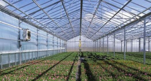 glass greenhouse