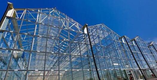 glass greenhouse