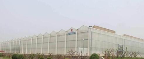 smart glass greenhouses