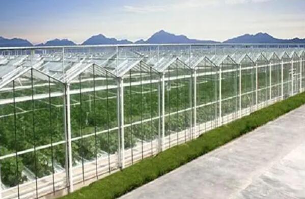 Greenhouse diffuse reflection glass chooses to combine environment and plants