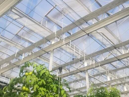 The construction of smart glass greenhouses