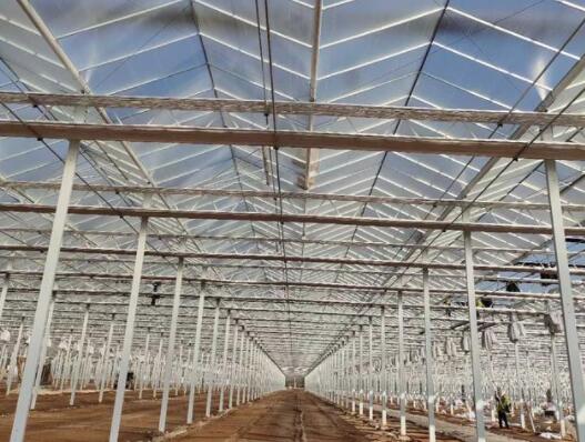 Greenhouse construction cost price