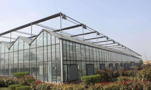 agricultural glass greenhouses