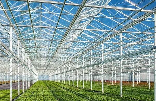 agricultural glass greenhouse