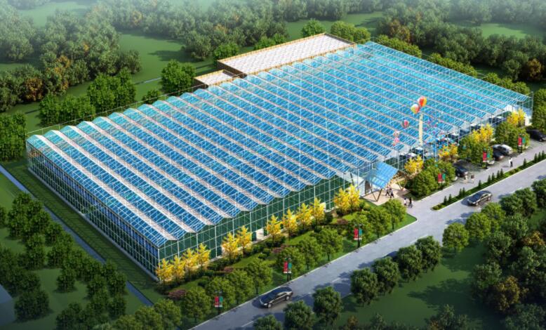 agricultural glass greenhouse