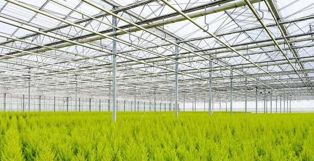 Advantages and investment cost of glass greenhouse