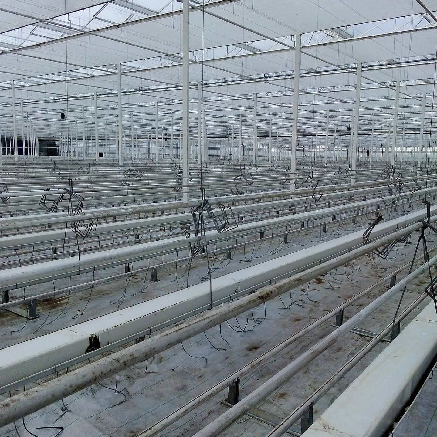 What are the cooling methods for multi-span glass greenhouses