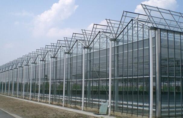Environmental characteristics of venlo glass greenhouse
