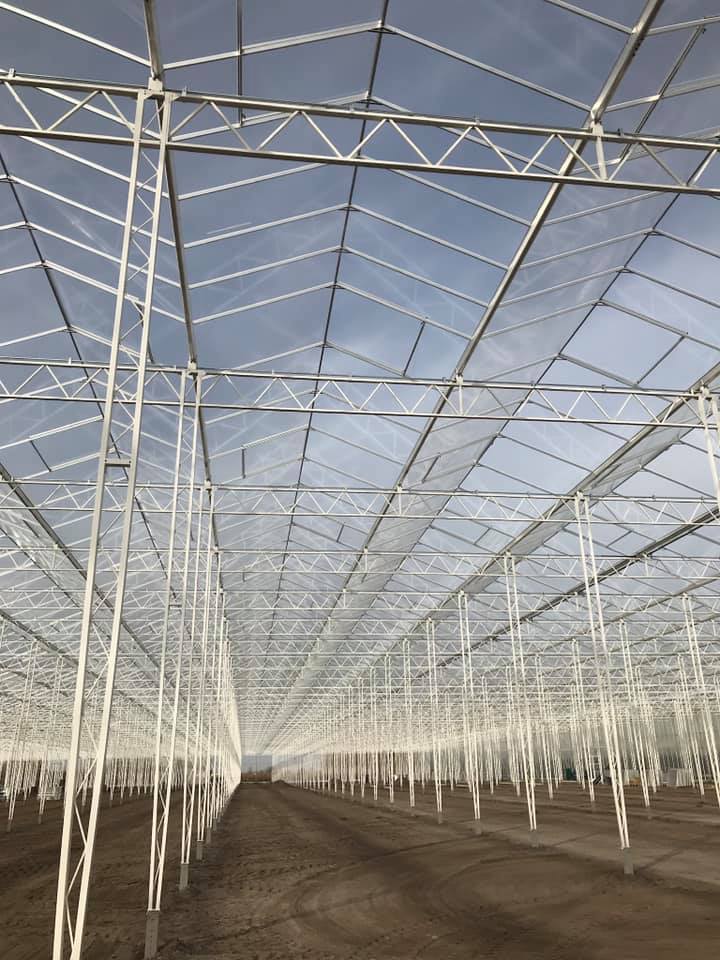 design and construction of Venlo glass Intelligent Greenhouse