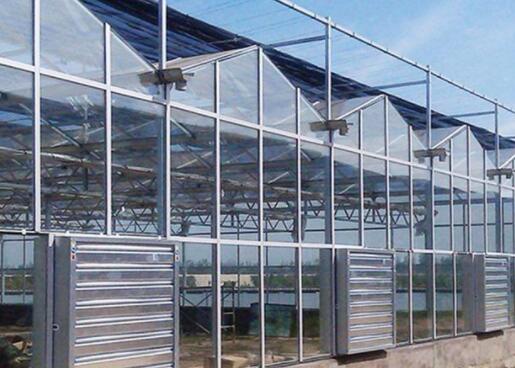 Thermal insulation of intelligent multi span glass greenhouse