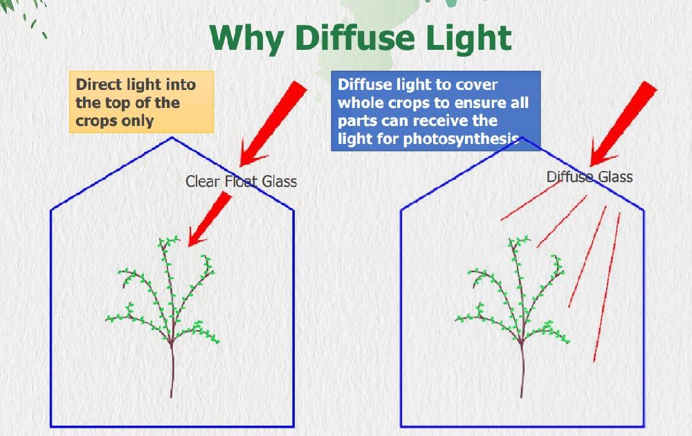 Light diffusion through diffuse reflective glass in Greenhouse