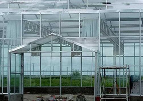 Comparison between glass greenhouse and film greenhouse