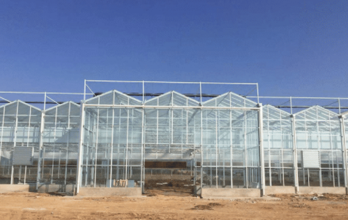 Guide for design, construction and management of multi span glass greenhouse