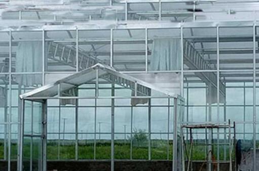 What vegetable crops are suitable for growing in the glass greenhouse