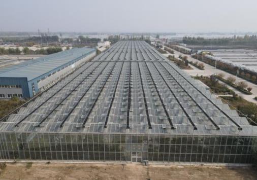 What are the types of venlo greenhouses
