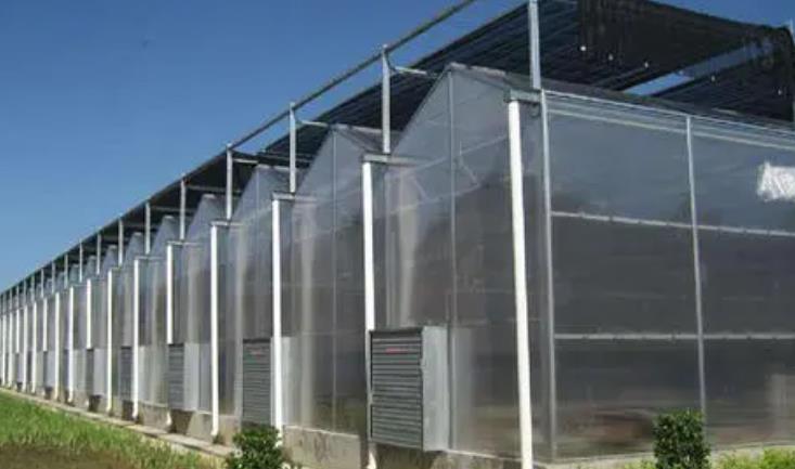 What are the types of venlo greenhouses