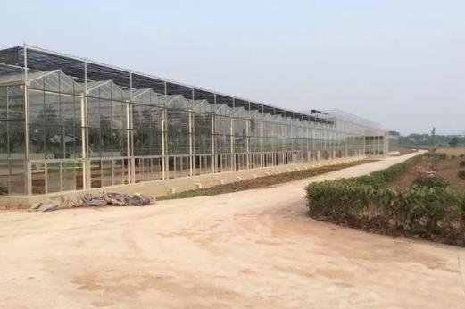 What are the characteristics of new intelligent greenhouse glass