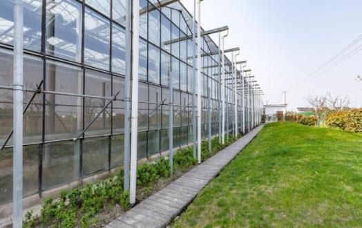 What are the characteristics of new intelligent greenhouse glass