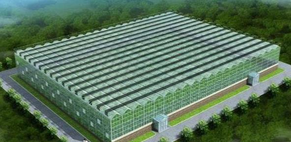 How to ventilate and heat modern glass greenhouse?
