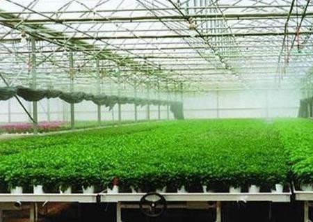 Precautions for daily maintenance of agricultural glass greenhouse