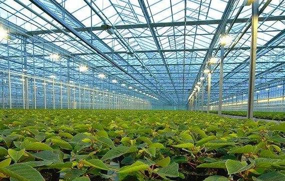 Common types of intelligent glass greenhouse