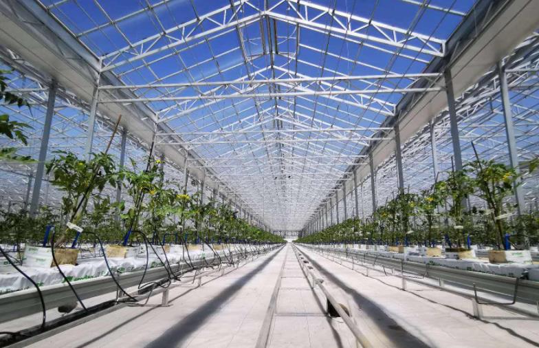 Precautions for the construction of intelligent glass greenhouse