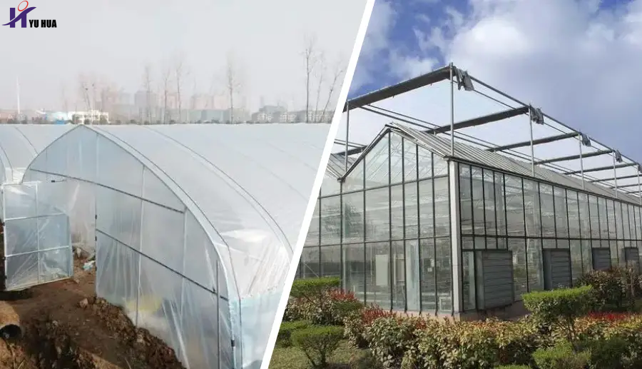 Does Diffuse Greenhouse Glass Really Increase Crop Yield?
